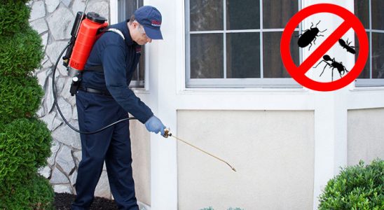Kaynarca Tahtakurusu İlaçlama böcek ilaçlama ve haşere kontrolü — ilaclama-tr.com